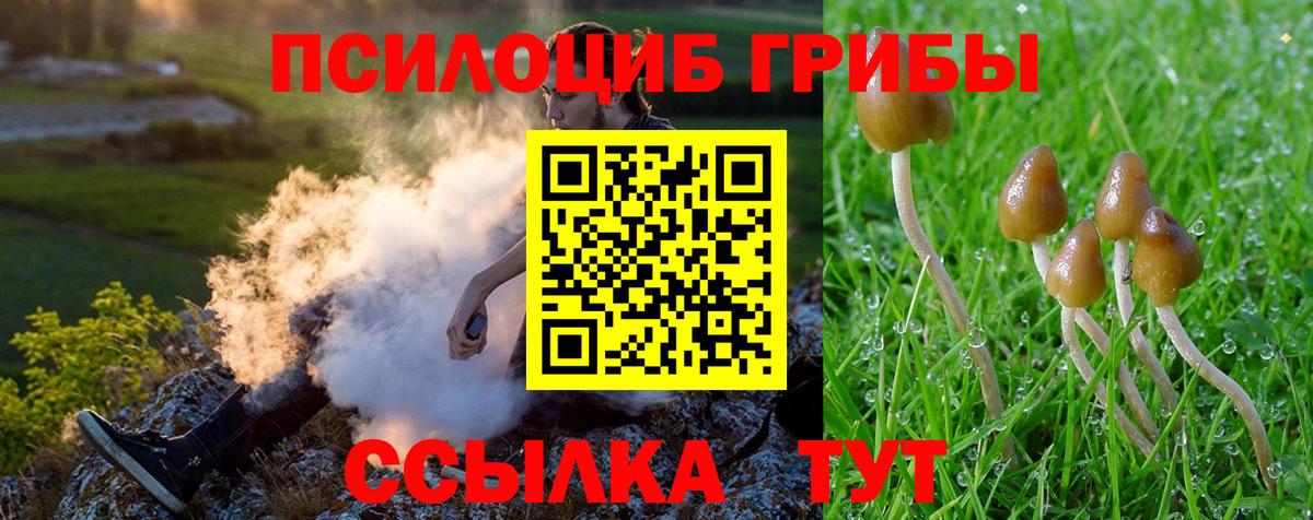 Фурманов  Псилоцибиновые грибы GOLDEN TEACHER  Вход с VPN  Псилоцибиновые грибы Psilocybine cubensis 